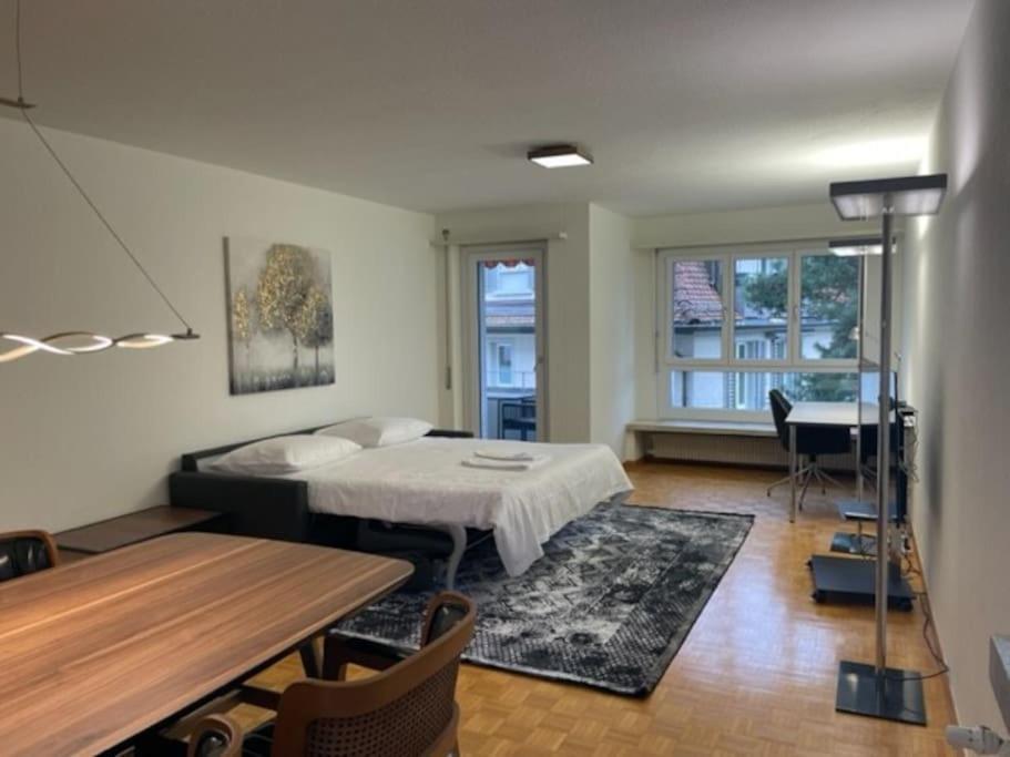 Cozy, Sunny, City Center 1 Bedroom Flat Zurich Exterior photo